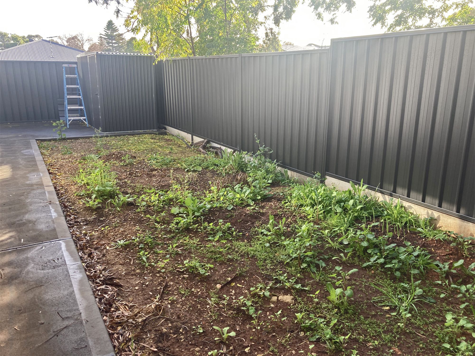 57 Robert Avenue, Clearview