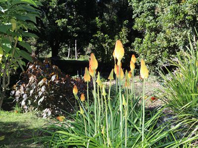 240 Stanger Road, Stony Chute