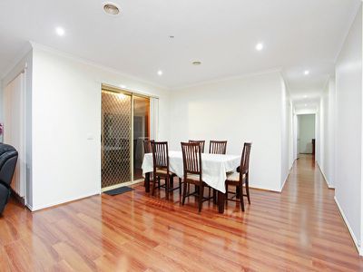 6 Belalie Close, Hampton Park