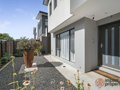 10 Potoroo Street, Throsby