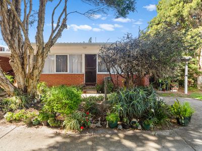 1 / 2 Worwong Avenue, Somerville