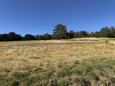 Lot 2, Direens Road, Lymington