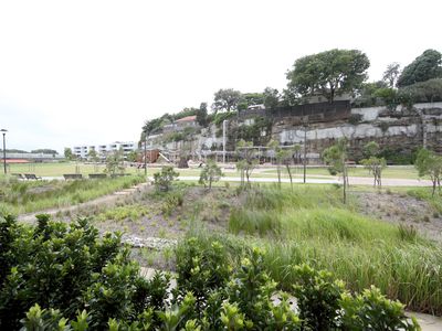 115 Ross Street, Forest Lodge