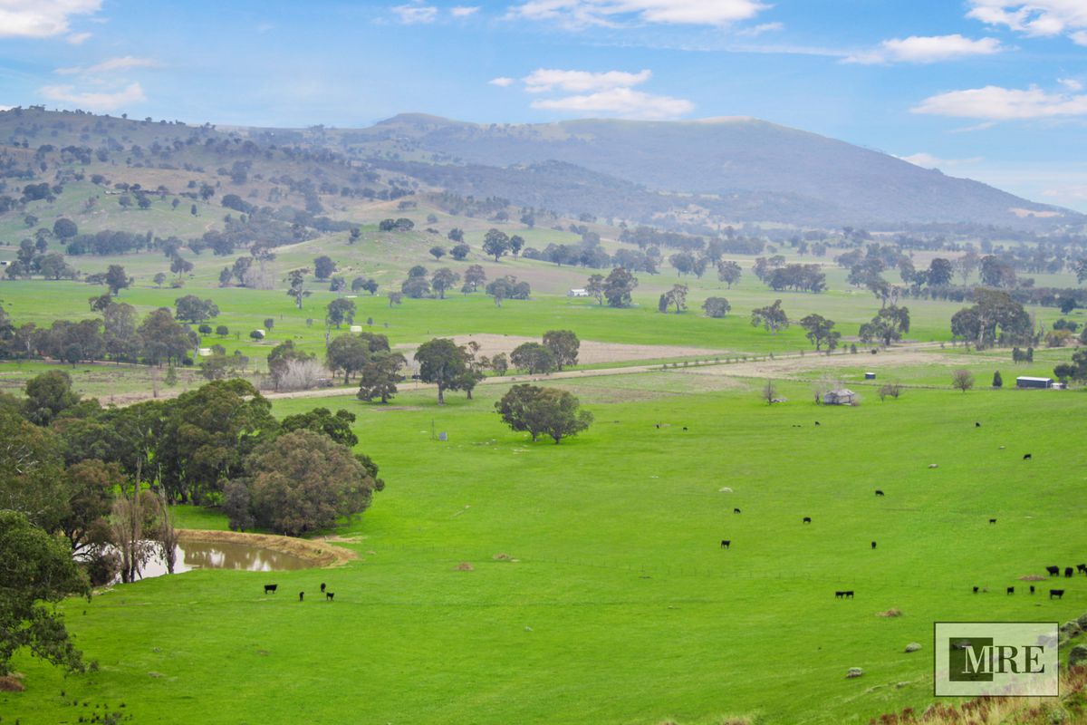 Sheans Creek Road, Euroa