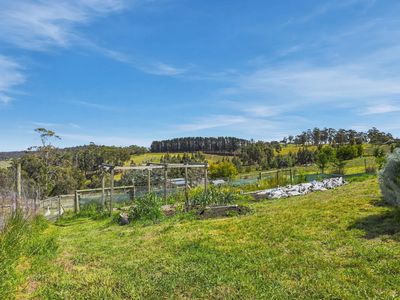 330 Sugarloaf Road, Carlton River