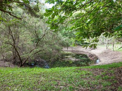 403 Eumundi Range Road, Eumundi