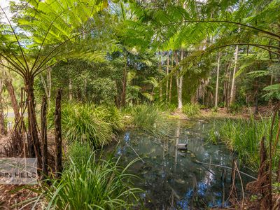 140 Tuntable Creek Road, The Channon