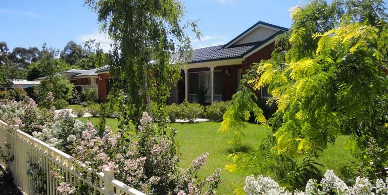 7 Orchid Street, Violet Town