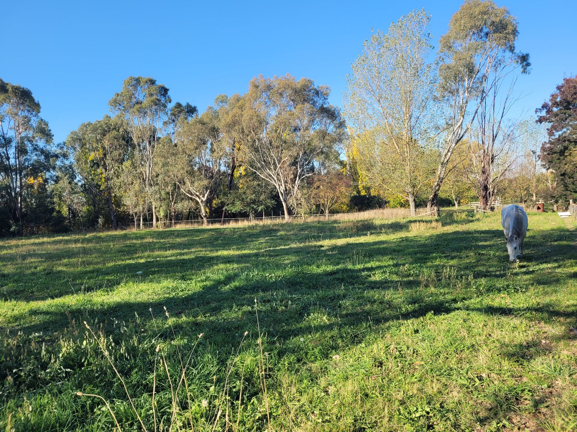 5 Rowe Street, Mansfield