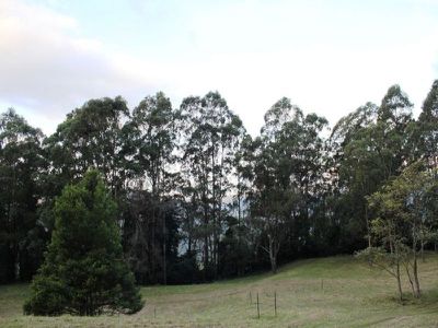 120 Parrish's Rd, Kangaroo Valley