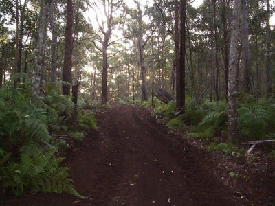 301 Harpers Creek Road, Conondale