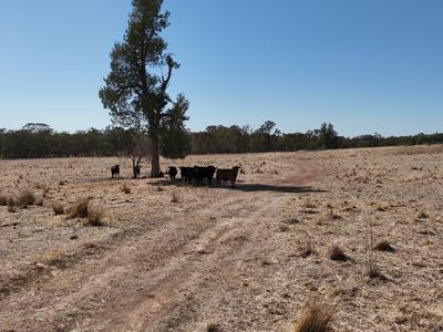 40 Cooks Hill Lane, Alectown