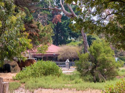 27 Mckirdys Road, Tyabb