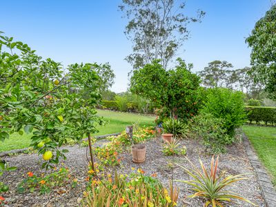 1372 Greenridge Pinbarren Road, Pinbarren