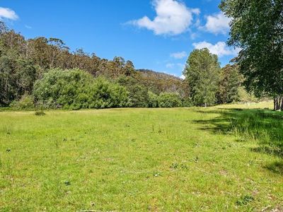 255 Turn Creek Road, Grove