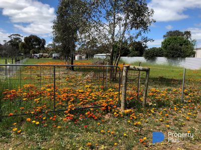 34 Market Street, Newbridge