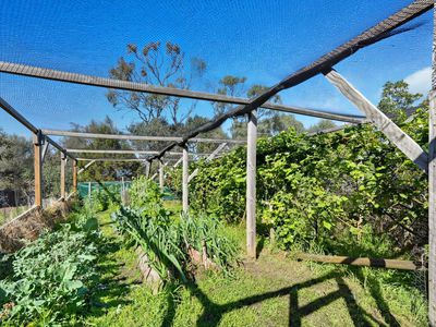 83 Bally Park Road, Dodges Ferry