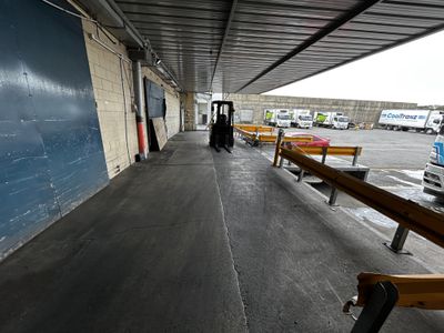 9 Midland Street, South Dunedin