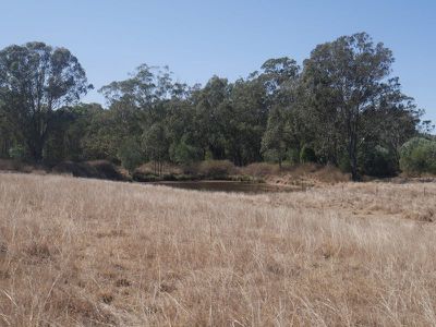 322 Mcauliffes Road, Kingaroy