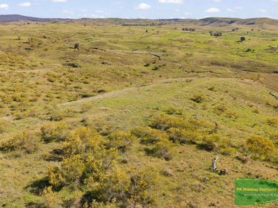 351 Shepherds Creek Road, Euchareena