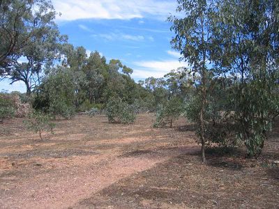 LOT 1 DAIRTY FLAT ROAD, Heathcote