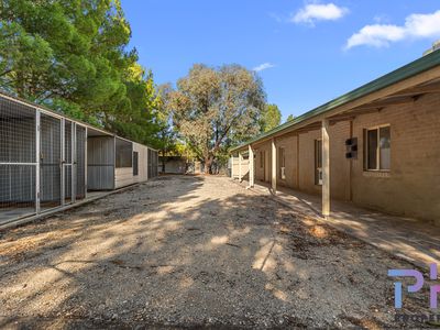 19 Trent Court, Axe Creek