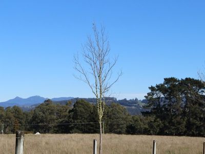 Lot 3 Cradoc Hill Road, Cradoc