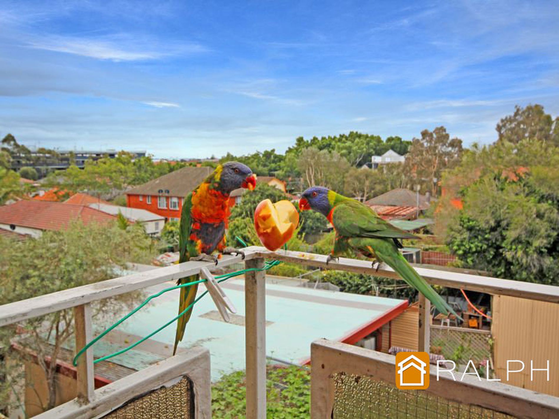 8 / 11 York Street, Belmore