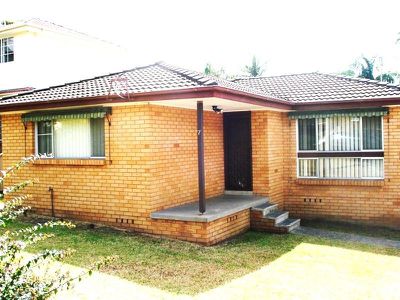 Mount Warrigal