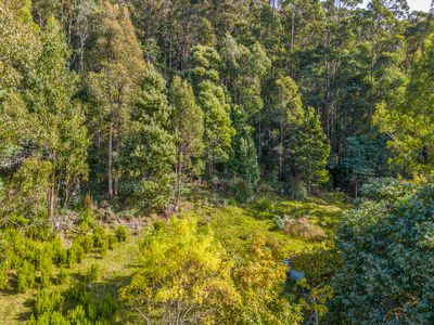 Lot 1, Smiths Road, Nicholls Rivulet