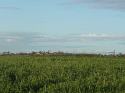Deniliquin Road, Barham