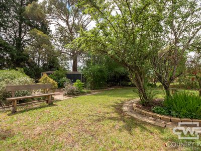 4 Young Street, Glen Innes