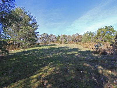 Lot 2 Warrowitue Forest Road, Heathcote