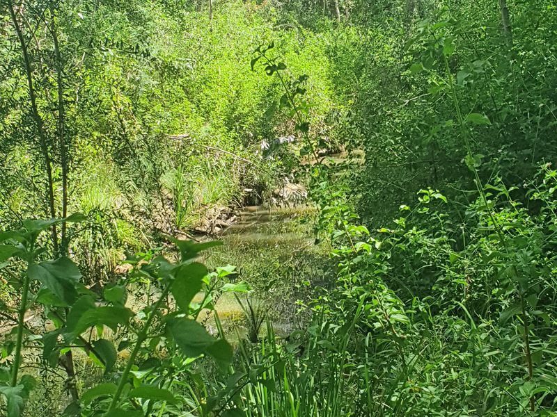 274 Franks Road, Taromeo Main Street Realty