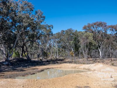 222 Strathbogie Road, Emmaville