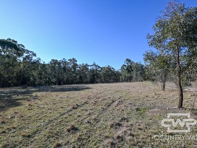 3889 Nullamanna Road, Wellingrove