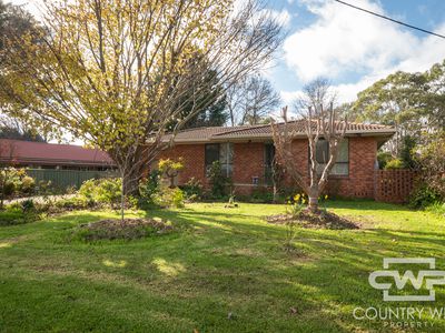31 Hunter Street, Glen Innes