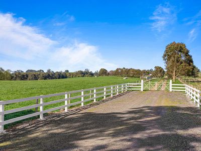 254 Newtons Lane, Trentham