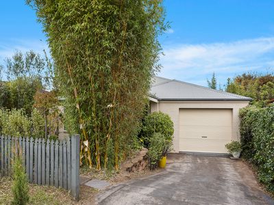 8 Masthead Place , Berkeley