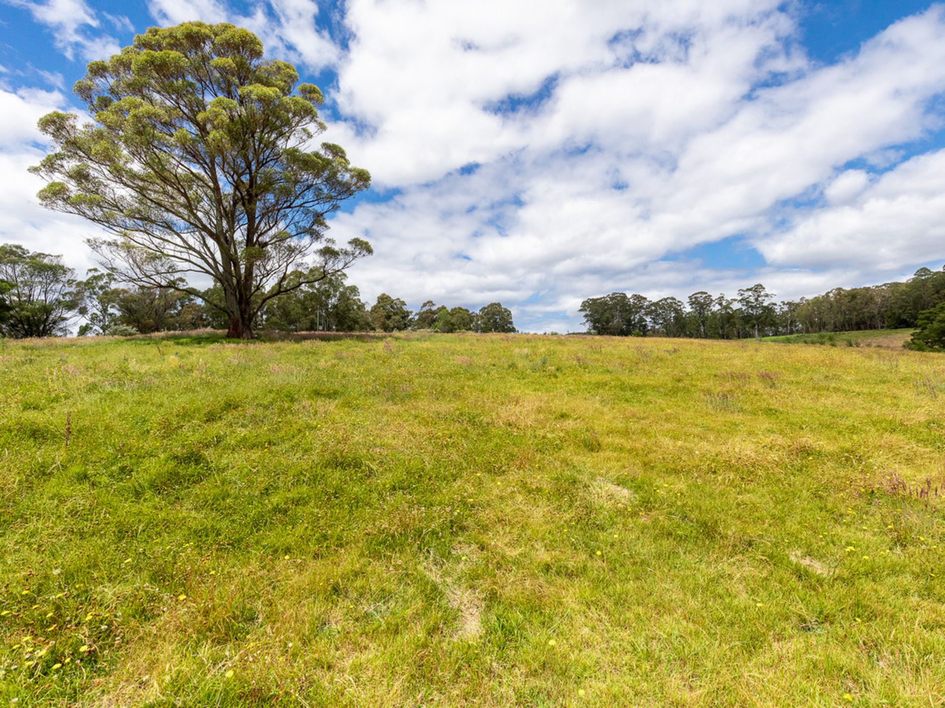 Lot 14 McCausland Road, Lochiel Sails Real Estate Merimbula