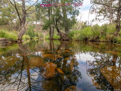 170 Northcotts Road, Glen Innes