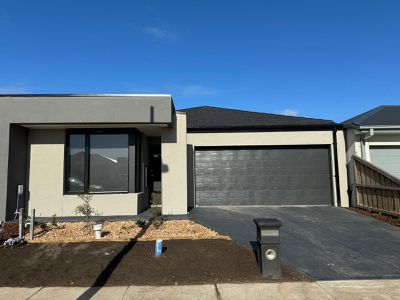 17 Spree Street, Tarneit