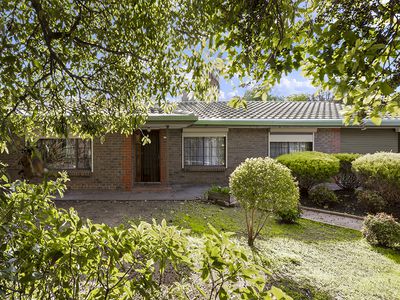 316 Milne Road, Modbury Heights