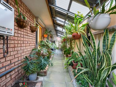 19 Conway Loop, Waikiki