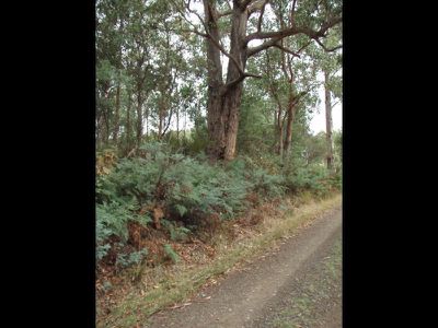 Lot 4 Holmes Road, Ellendale