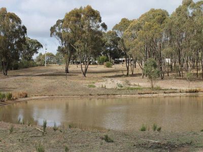 111 Rushall Road, Heathcote