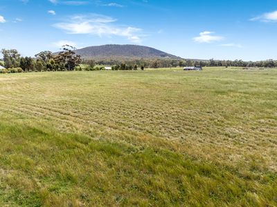 100 Trellis Drive, Heathcote