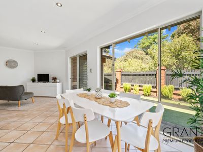 50b Mount View Terrace, Mount Pleasant