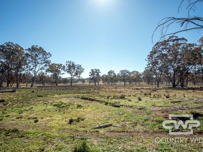 Glen Innes