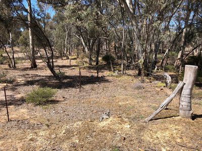 21 Godfrey Street, Wedderburn